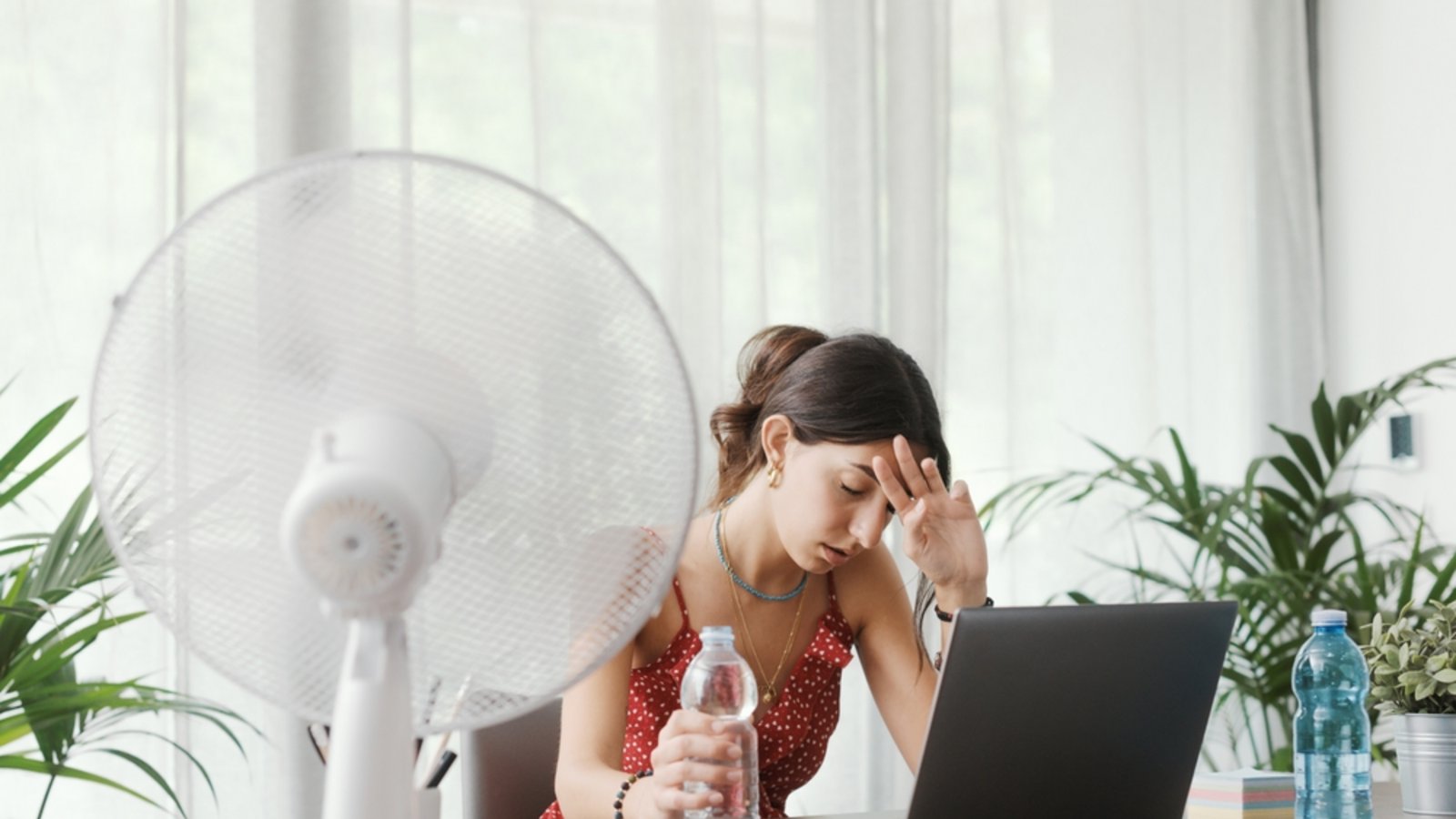 Welche Regeln und Rechte gelten bei Hitze am Arbeitsplatz?Foto: Stock-Asso/ Shutterstock Welche Regeln und Rechte gelten bei Hitze am Arbeitsplatz?Foto: Stock-Asso/ Shutterstock