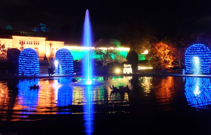 Neuen Lichterzauber mit bis zu 30 Meter hohen Fontänen am Seerosenteich gibt es ab 15. November in der Wilhelma zu sehen.<span class='image-autor'>Foto: Iris Frey</span>