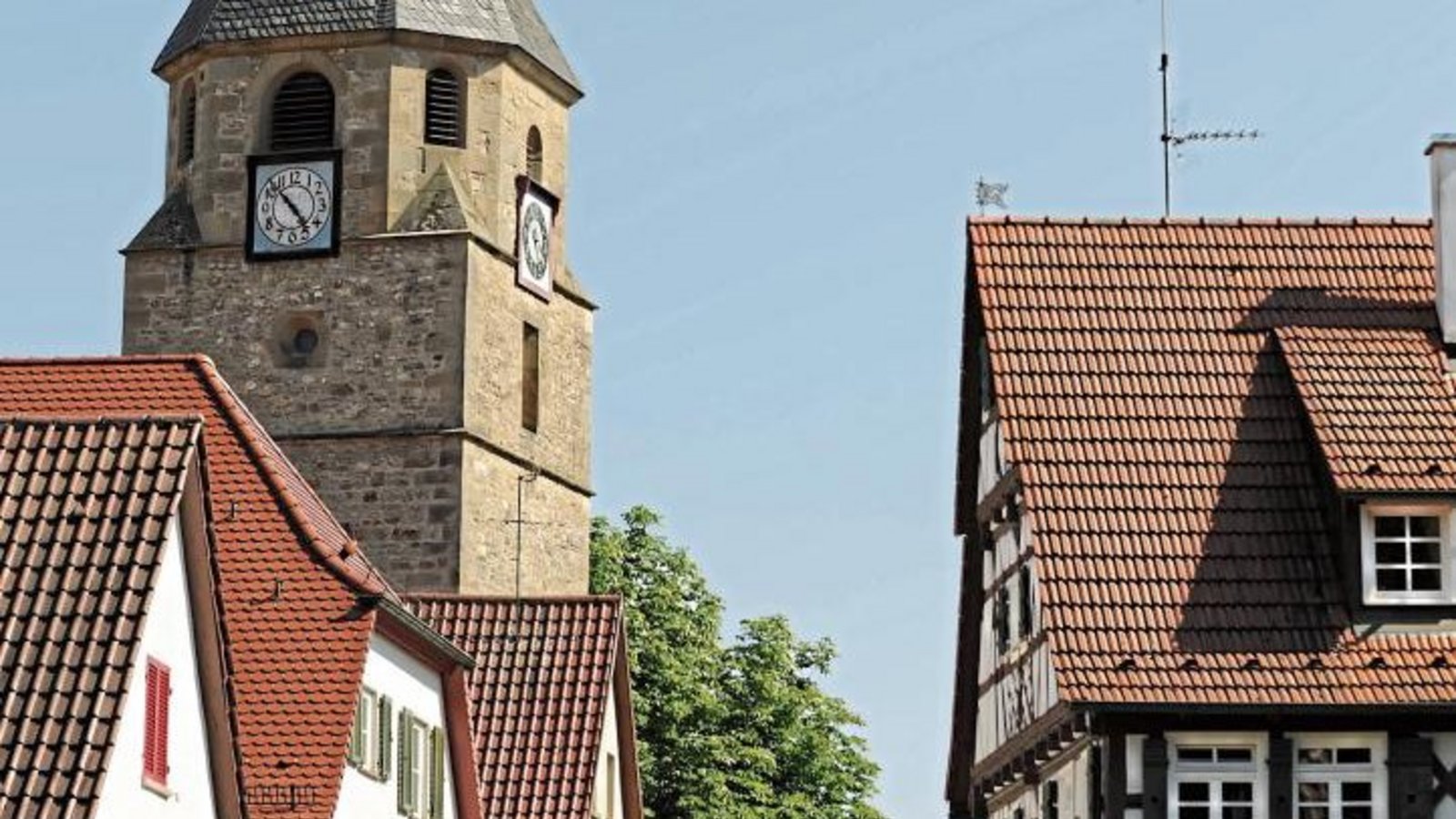 Harald Burkhardt führt durch Roßwag. Foto: pv