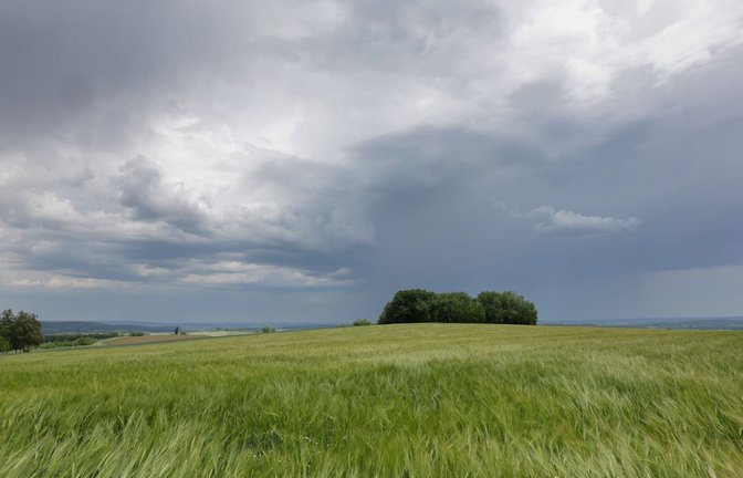 Gewitter- und Regenwolken bilden sich hinter einem Getreidefeld. (zu dpa: «Hochsommerlich und wechselhaft: Im Südwesten drohen Schauer»)<span class='image-autor'>Thomas Warnack/dpa</span>