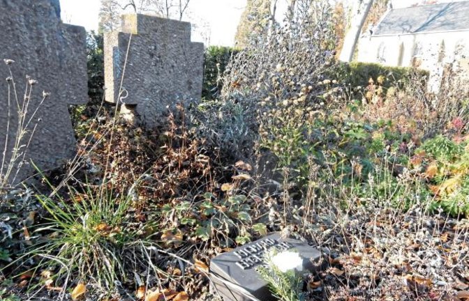 Nelken an den Ehrengräbern auf dem Vaihinger Friedhof und dazu viel Unkraut. Die Pflege wurde wohl in diesem Jahr vor dem Volkstrauertag vergessen...  Foto: Arning
