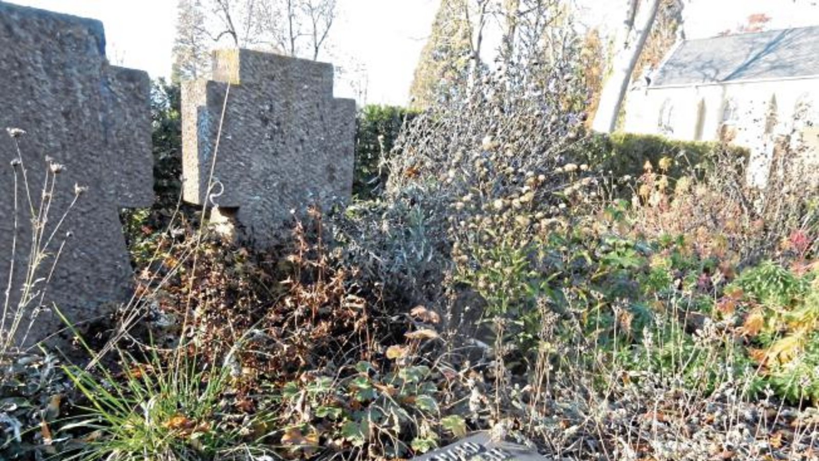 Nelken an den Ehrengräbern auf dem Vaihinger Friedhof und dazu viel Unkraut. Die Pflege wurde wohl in diesem Jahr vor dem Volkstrauertag vergessen... Foto: Arning Nelken an den Ehrengräbern auf dem Vaihinger Friedhof und dazu viel Unkraut. Die Pflege wurde wohl in diesem Jahr vor dem Volkstrauertag vergessen... Foto: Arning