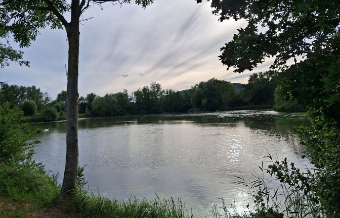 Es ist wieder Wasser im Hohenhaslacher See. Der Schlamm wurde bislang aber noch nicht ausgebaggert. <span class='image-autor'>Foto: Glemser</span>