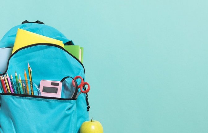 Platz für Kinder mit Förderbedarf: Zwei Schulen sollen auf dem Pforzheimer Buckenberg neu gebaut werden.  <span class='image-autor'>Foto: vimbroisi/pixabay.com</span>