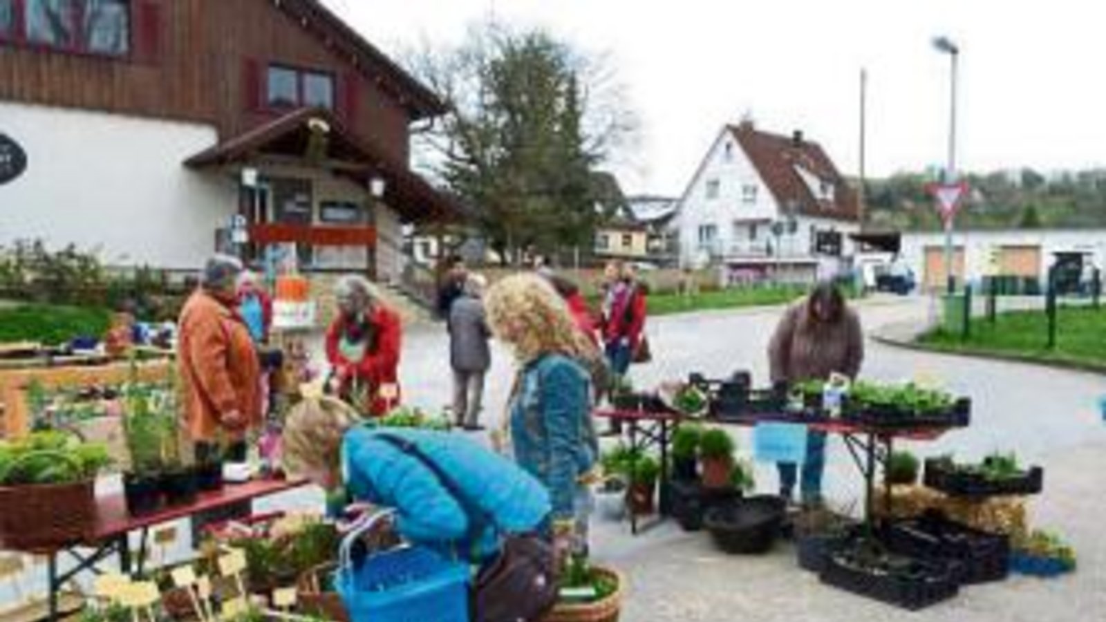 Viele, der von den Landfrauen angebotenen Pflanzen fanden einen Abnehmer. Foto: p Viele, der von den Landfrauen angebotenen Pflanzen fanden einen Abnehmer. Foto: p
