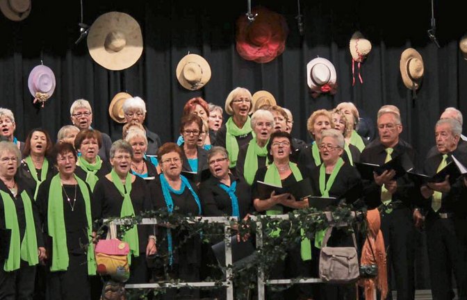 Die beiden Sersheimer Chöre läuten das Finale beim Jahreskonzert in der Sport- und Kulturhalle ein. Fotos: Friedrich