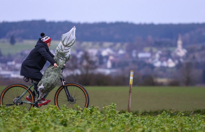 Der Weihnachtsbaumkauf steht vor der Tür.<span class='image-autor'>Foto: Thomas Warnack/dpa/Thomas Warnack</span>