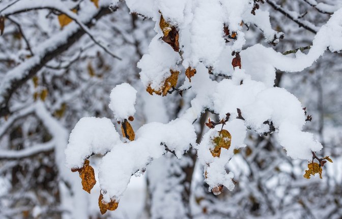 In den Alpen kann es diese Woche schneien.<span class='image-autor'>Foto: Andrei Stepanov / shutterstock.com</span>