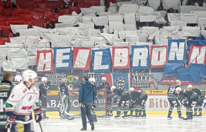 Der Stammverein der Heilbronner Falken steckt in finanziellen Schwierigkeiten.  Foto: Baumann