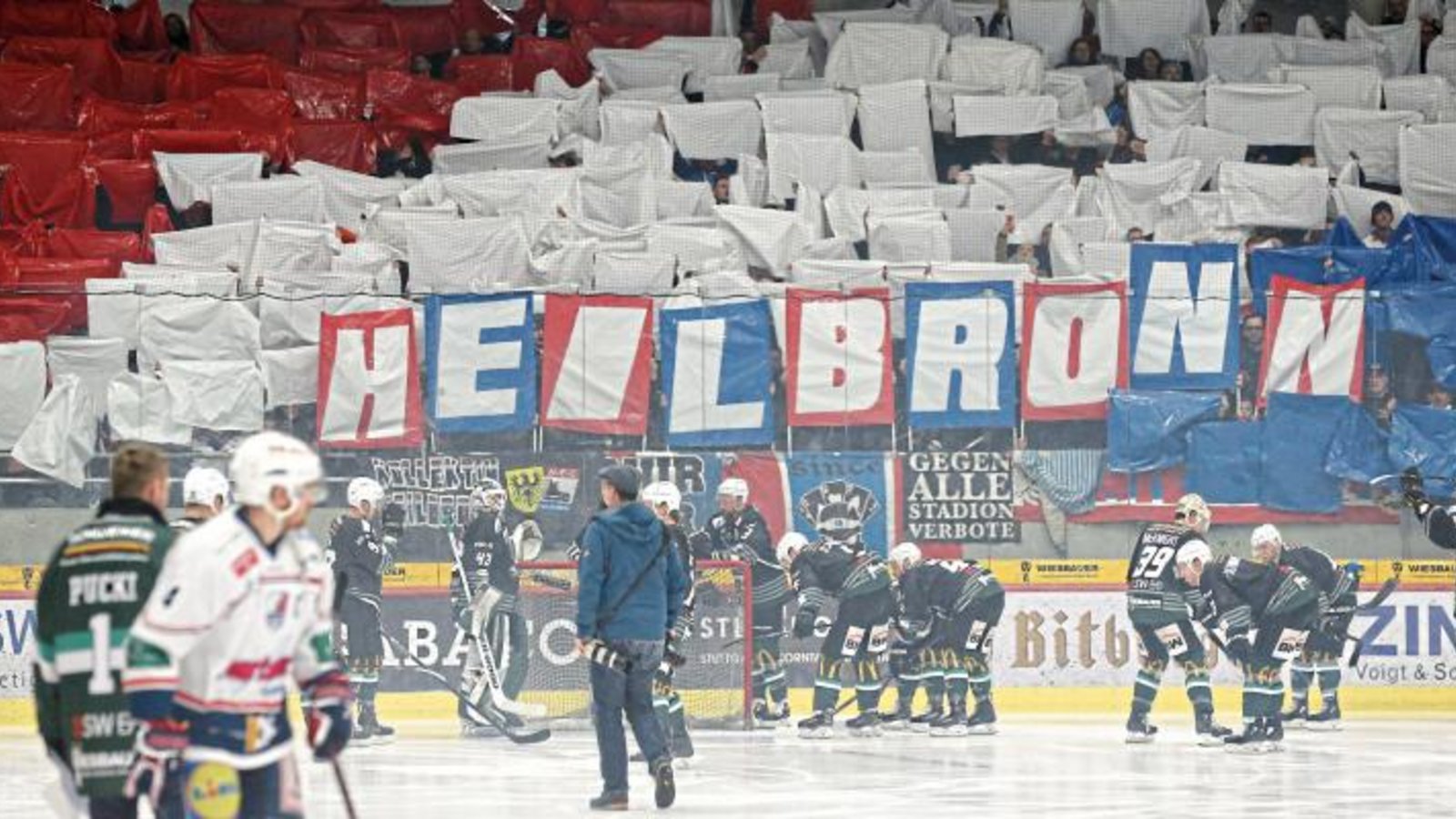 Der Stammverein der Heilbronner Falken steckt in finanziellen Schwierigkeiten.  Foto: Baumann