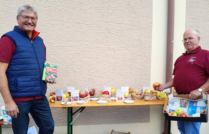 Rolf Haug und Michael Grosch präsentieren zwölf Sorten heimischer Äpfel.  <span class='image-autor'>Foto: Filitz</span>
