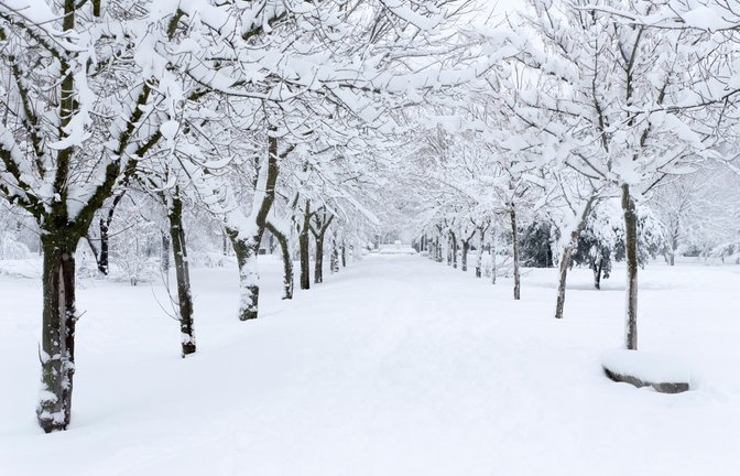 Wie stehen die Chancen auf weiße Weihnachten?<span class='image-autor'>Foto: Jose MAnuel Morante / shutterstock.com</span>