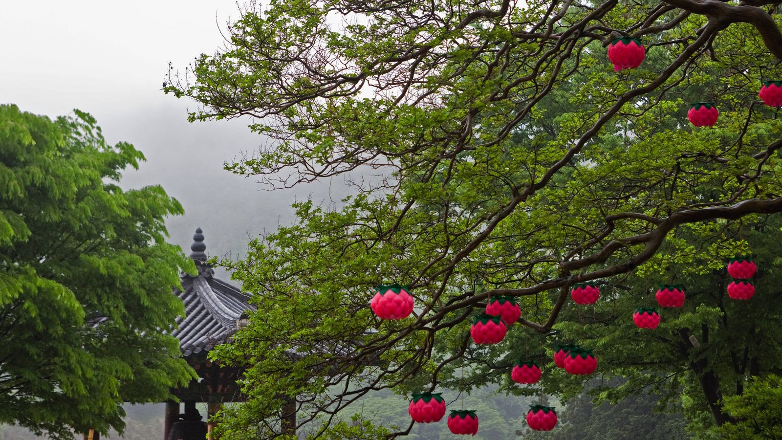 Blick auf buddhistischen Tempel im südkoreanischen SokchoFoto: imago/Cavan Images