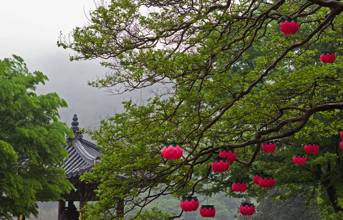 Blick auf buddhistischen Tempel im südkoreanischen Sokcho<span class='image-autor'>Foto: imago/Cavan Images</span>