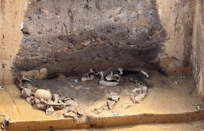 Opfergrube der Salzmünder Kultur mit Hundeknochen, zwei menschlichen Schädeln, Brandlehm von einem Haus und einem Hornzapfen.<span class='image-autor'>Foto: Oliver Dietrich/ Landesamt für Denkmalpflege und Archäologie Sachsen-Anhalt</span>