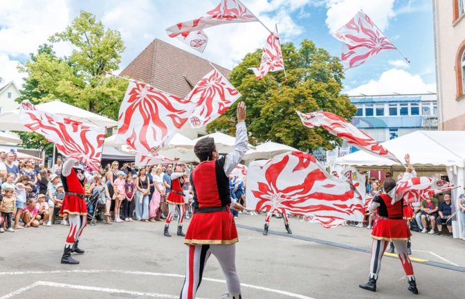 Findet das Böblinger Stadtfest zukünftig nur noch alle zwei Jahre statt? So lautet einer von rund 180 Vorschlägen der Haushaltsstrukturkommission.<span class='image-autor'>Stefanie Schlecht/Archiv</span>