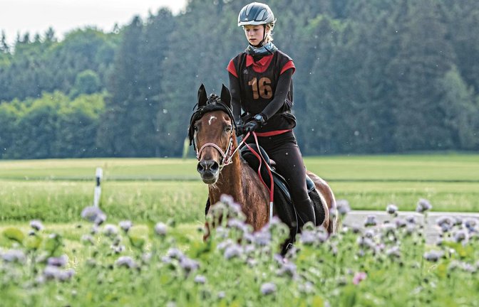 Im Sattel von Saida Hilal eilt Finnja Röhm aus Ensingen beim Distanzreiten von einem Erfolg zum nächsten. Foto: privat