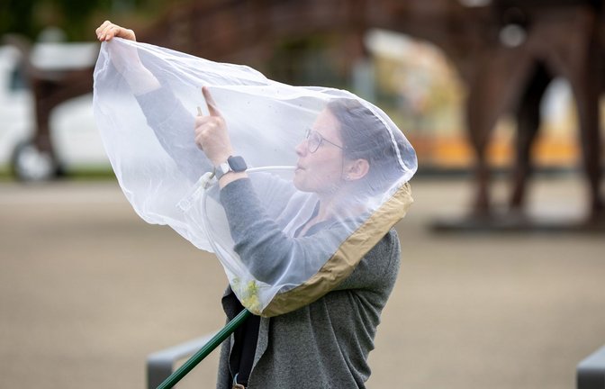 Amelie Höcherl, Entomologin am Naturkundemuseum, fängt Insekten mit einem Schlauch aus einem Kescher.<span class='image-autor'>Foto: Lichtgut/Julian Rettig</span>