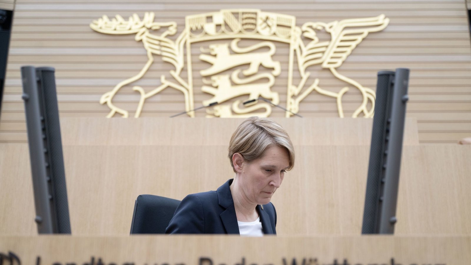 Landespolizeipräsidentin Stefanie Hinz bei ihrer ersten Vernehmung im Untersuchungsausschuss Ende Februar.Foto: dpa/Marijan Murat