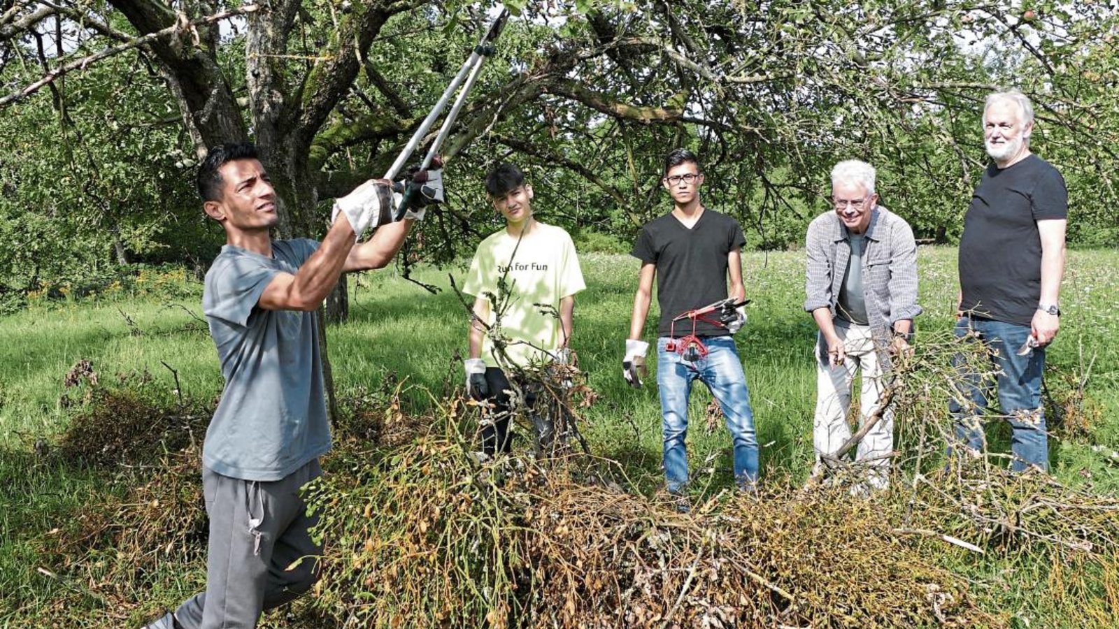 Die Obstbäume retten und die Misteln dezimieren, lautet die Mission der Initiative im Kirbachtal. Foto: p Die Obstbäume retten und die Misteln dezimieren, lautet die Mission der Initiative im Kirbachtal. Foto: p