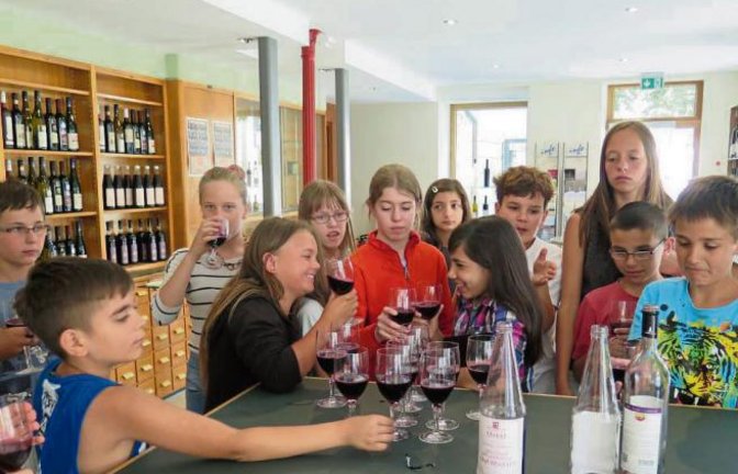 Die Klasse 5c der Schlossbergschule schaute gestern bei Manfred Arnold in der Vinothek in Vaihingen vorbei. Als Kostprobe gab es Traubensaft.