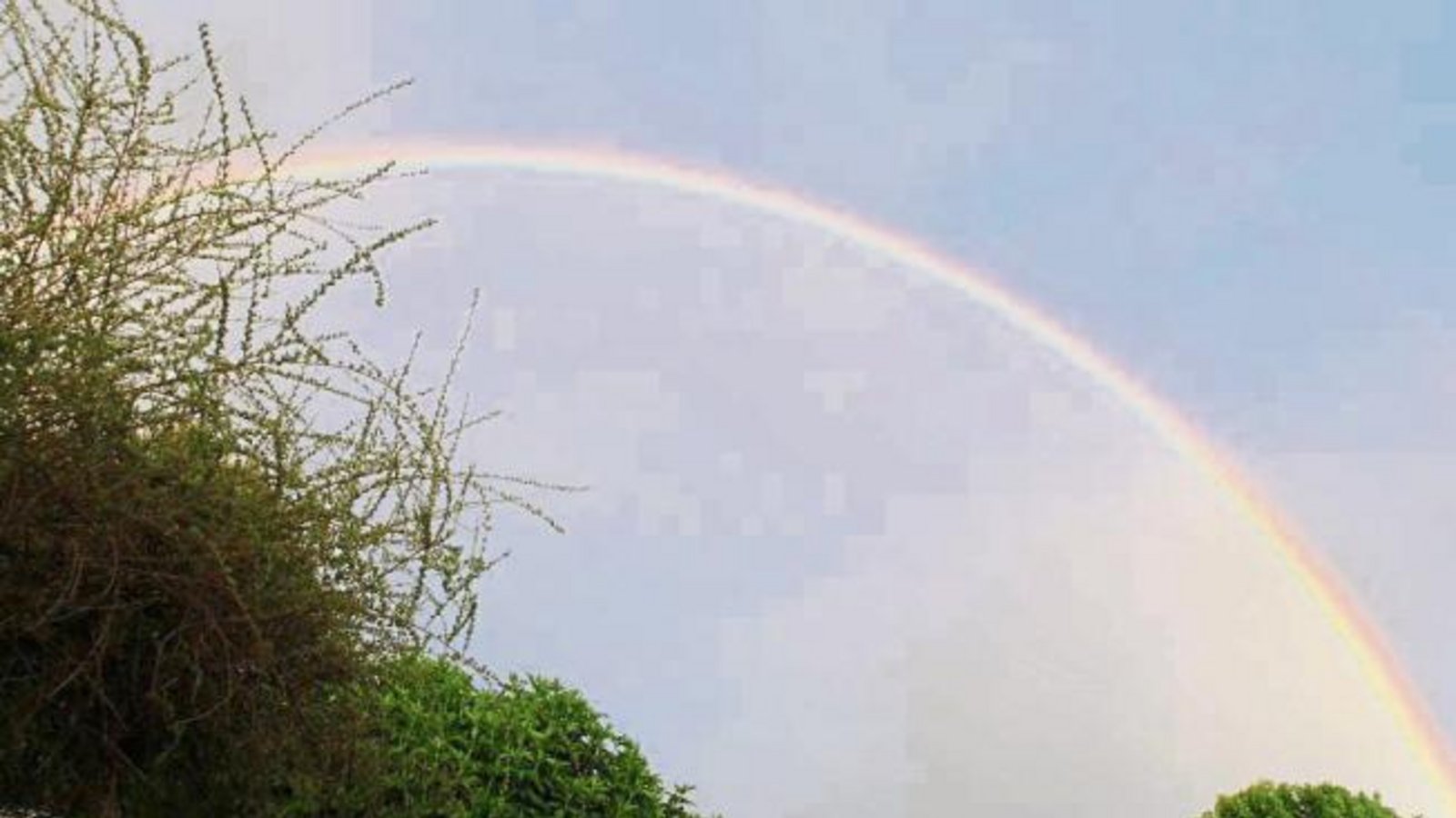 Am frühen Samstagmorgen spannte sich dieser Regenbogen über Vaihingen. Petra Becker drückte auf den Auslöser. Am frühen Samstagmorgen spannte sich dieser Regenbogen über Vaihingen. Petra Becker drückte auf den Auslöser.