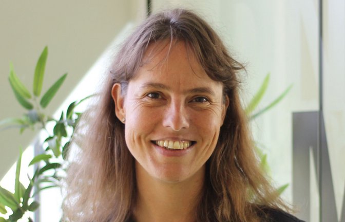 &nbsp;<span class='image-autor'>Foto: &nbsp;</span>