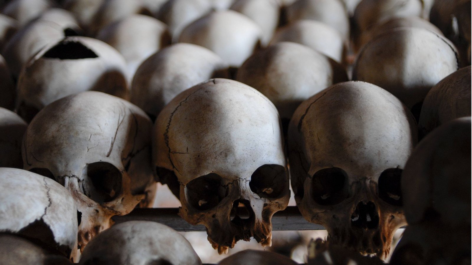 Schädel im Ntarama Genocide Memorial Centre in Ruanda: Hier wurden am 14. April 1995 in der katholischen Kirche von Ntarama rund 5000 Menschen bestialisch abgeschlachtet. Das Genocide Memorial ist eines von sechs offiziellen Orten in Ruanda, wo des Völkermords an 800.000 bis 1 Million Menschen gedacht wird.heFoto: Imago/Jörg Boethling Schädel im Ntarama Genocide Memorial Centre in Ruanda: Hier wurden am 14. April 1995 in der katholischen Kirche von Ntarama rund 5000 Menschen bestialisch abgeschlachtet. Das Genocide Memorial ist eines von sechs offiziellen Orten in Ruanda, wo des Völkermords an 800.000 bis 1 Million Menschen gedacht wird.heFoto: Imago/Jörg Boethling