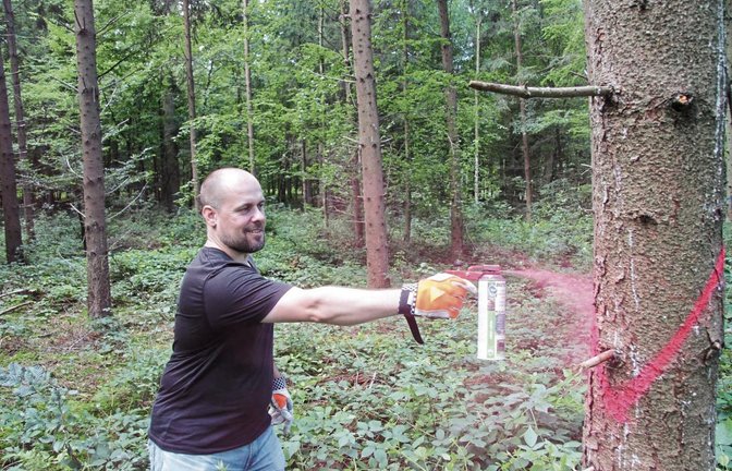 Mit Sprühfarbe markiert VKZ-Redakteur Michael Banholzer eine vom Borkenkäfer befallene Fichte.  Foto: Flunkert