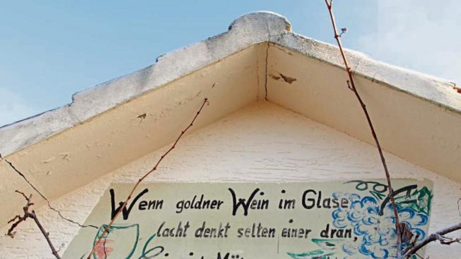 Fotografiert in den Häfnerhaslacher Weinbergen von unserem Leser Erwin Lorch.