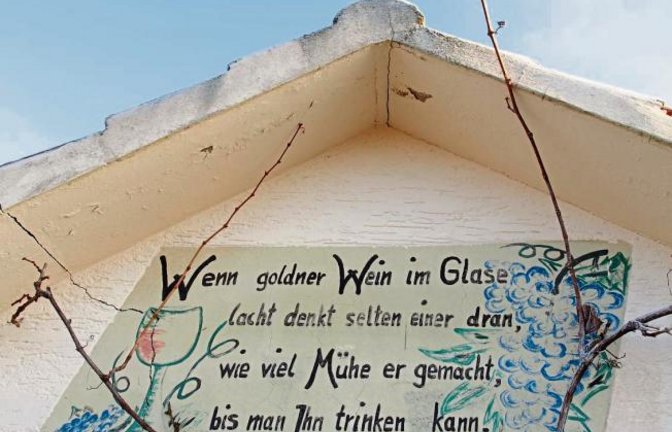 Fotografiert in den Häfnerhaslacher Weinbergen von unserem Leser Erwin Lorch.