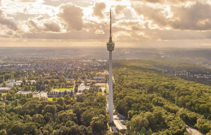 Wem gehört der Wald unterhalb des Fernsehturms? Die Cruising-Szene fühlt sich dort unerwünscht – und geradezu bedroht.<span class='image-autor'>Foto: imago//Manuel Kamuf</span>