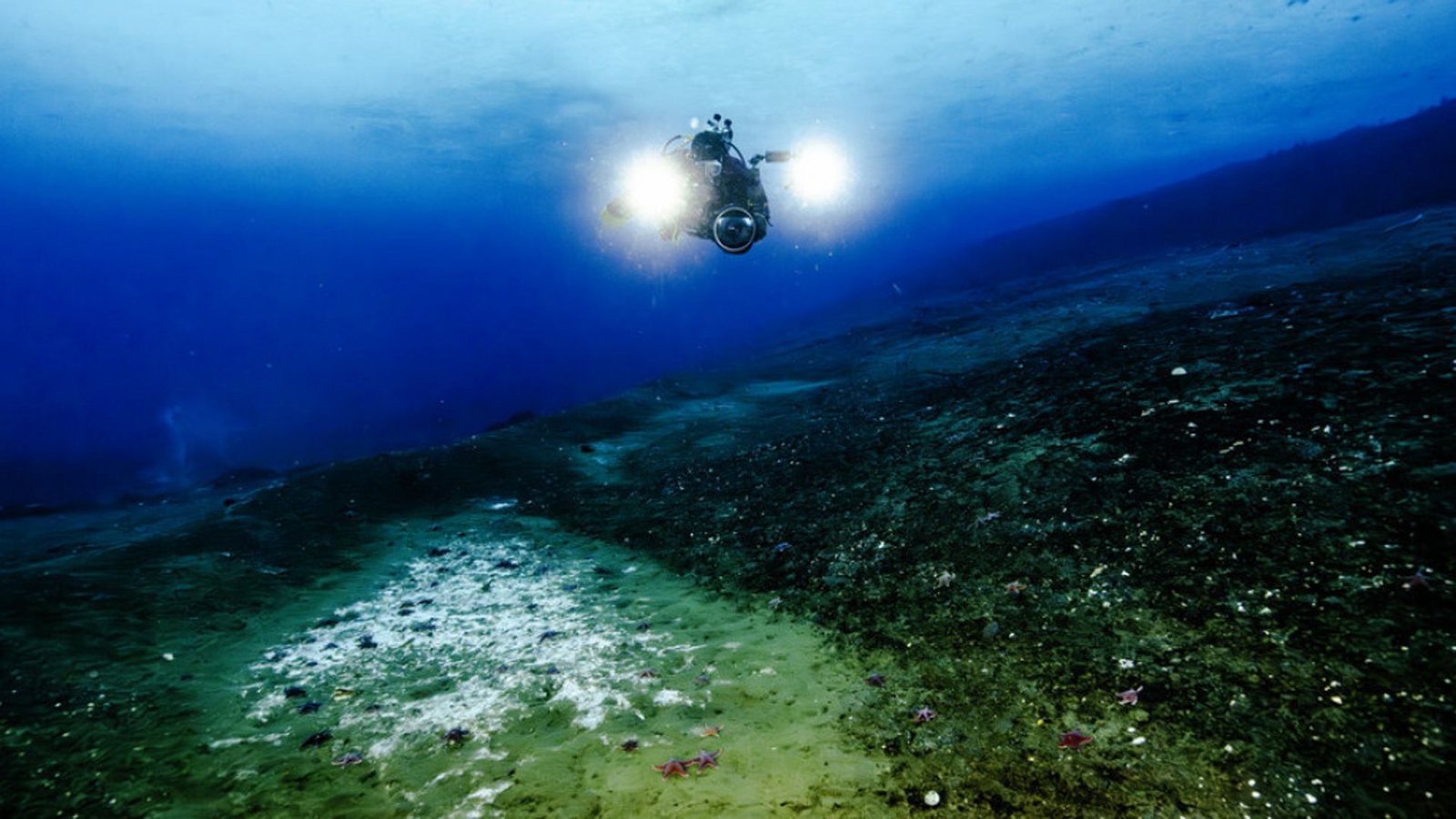 Dieser Tauchroboter hat gerade einige neu entstandenen Methanquellen am Grund des antarktischen Rossmeers entdeckt. Erkennbar sind sie an den weißlichen Bakterienmatten.Foto: Dieser Tauchroboter hat gerade einige neu entstandenen Methanquellen am Grund des antarktischen Rossmeers entdeckt. Erkennbar sind sie an den weißlichen Bakterienmatten.Foto: