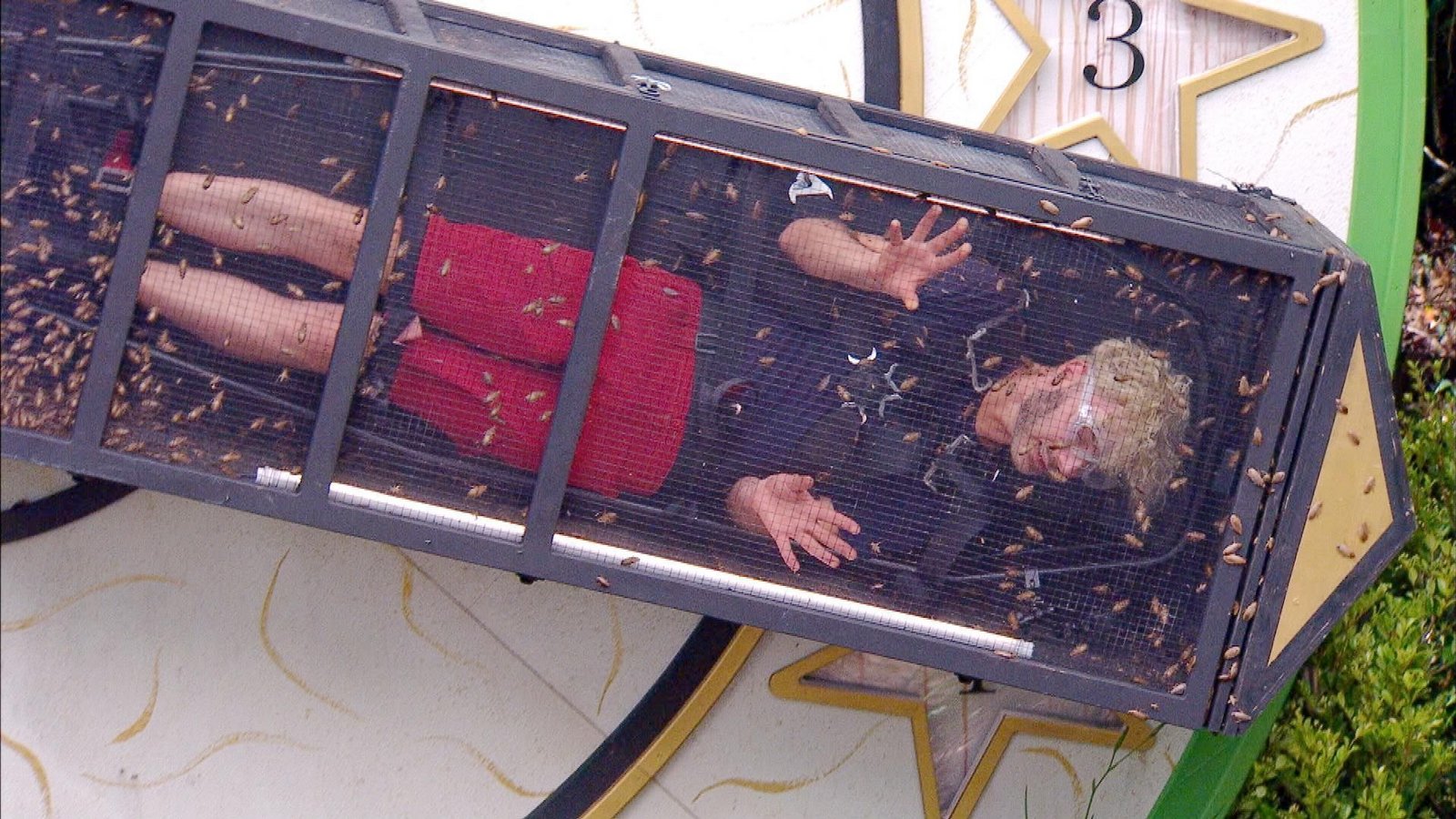 Zahlreiche Krabbeltierchen teilen mit Sam den „Zeiger“.Foto: RTL/Folge 18_007 Zahlreiche Krabbeltierchen teilen mit Sam den „Zeiger“.Foto: RTL/Folge 18_007