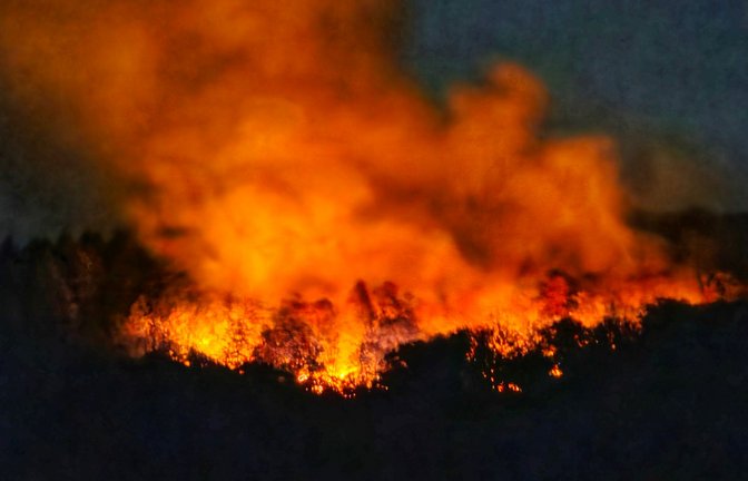 In der Nacht brannte es lichterloh in dem Waldgebiet in Rheinland-Pfalz.<span class='image-autor'>Foto: Sebastian Schmitt/dpa</span>