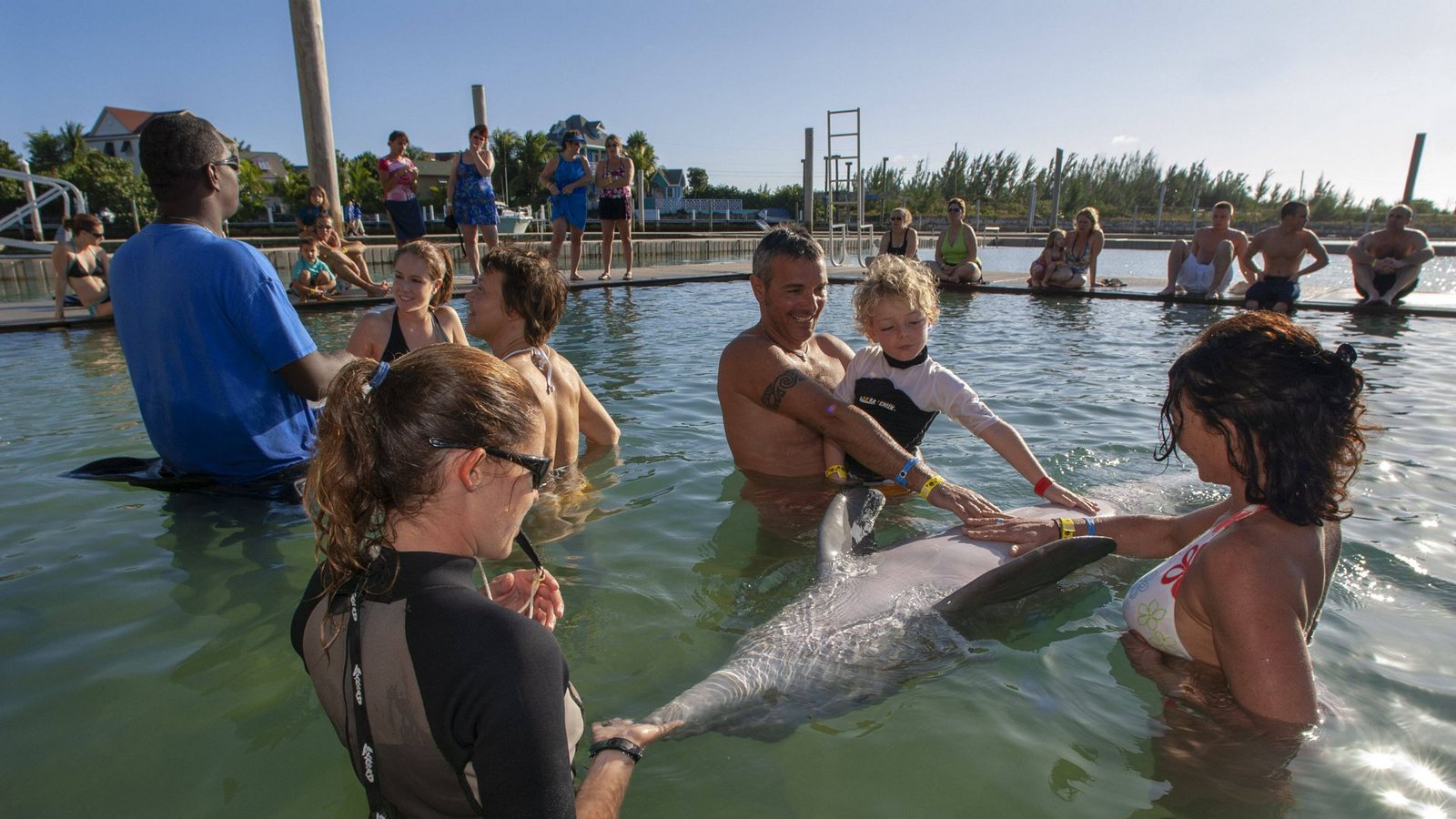 Umstritten: Delfin-Streicheln mag den Menschen Spaß machen, die Tiere haben dabei nichts zu melden.Foto: imago images/VWPics/ via www.imago-images.de