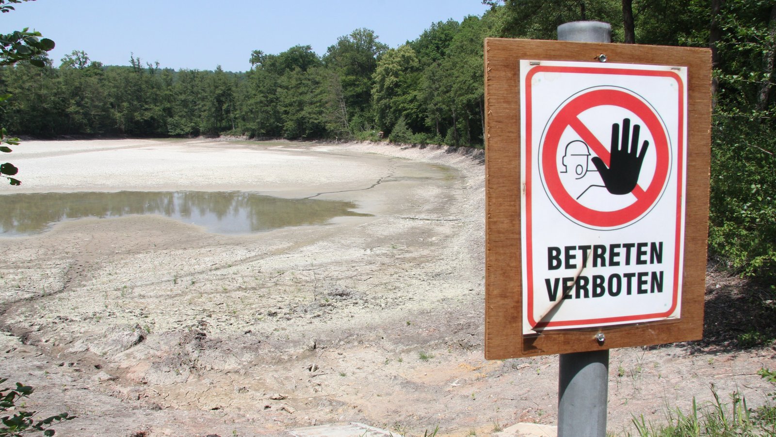 Trockengelegt: der Obere Seewaldsee in Horrheim. Er ist eigentlich, genau wie der Untere Seewaldsee, auch ein Badesee. Foto: Banholzer