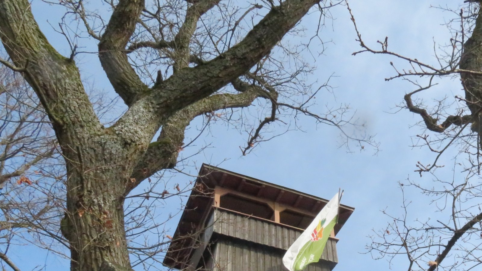 Am Eselsburgturm über Ensingen weht sonntags wieder die Fahne. Das heißt, es wird bewirtet.  Foto: Arning
