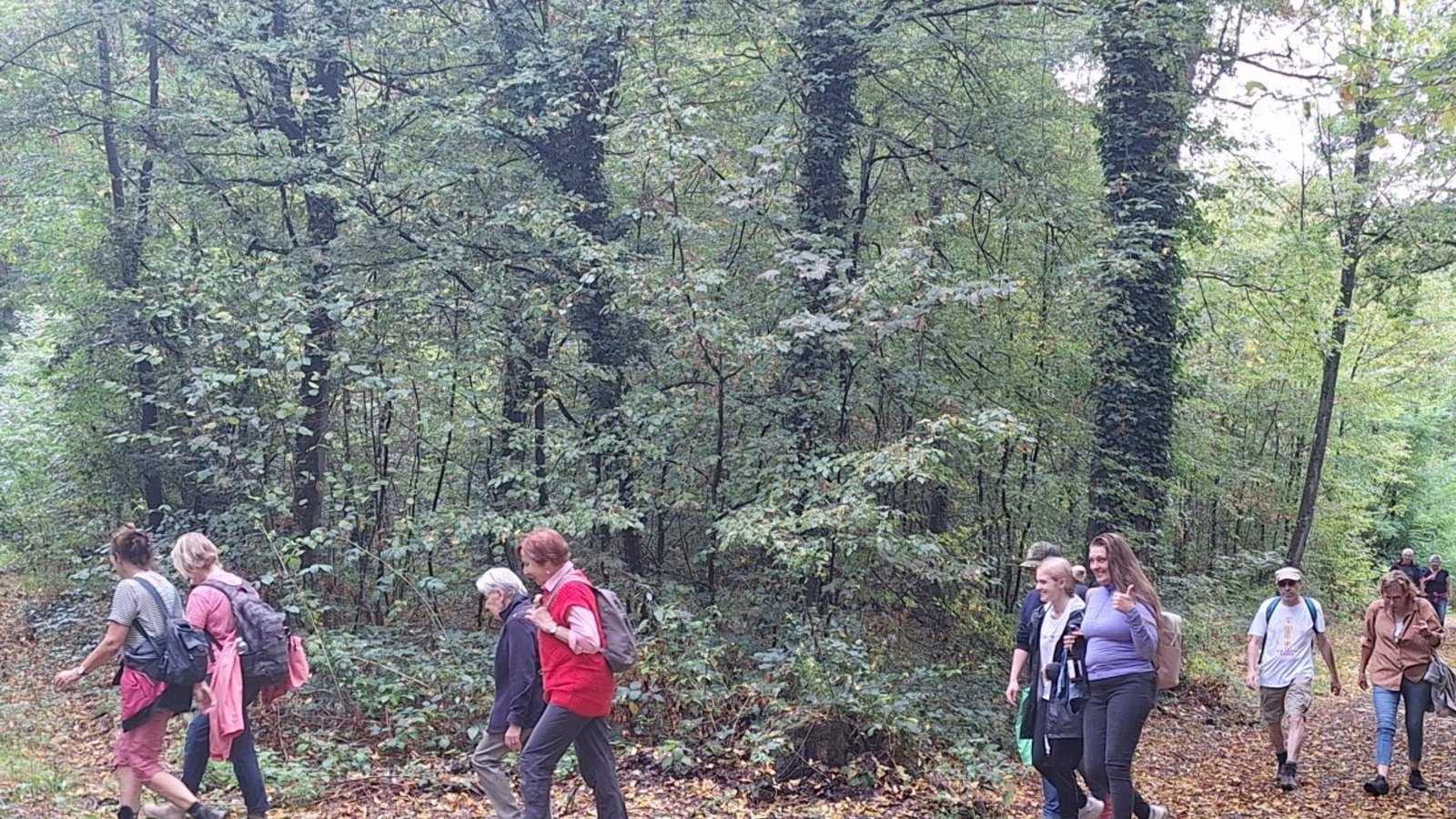 Schritte auf buntem Laub: herbstliche Stimmung im Reutwald.
