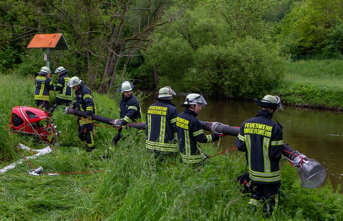 Feuerwehrleute aus Ingersheim beim Aufbau der Saugleitung für das Löschwasser an der Enz.  <span class='image-autor'>Foto: Bürkle</span>