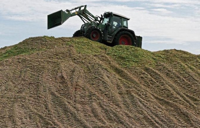 Ein Gipfelstürmer zwischen Oberriexingen und Sersheim.  Foto: Romanowski