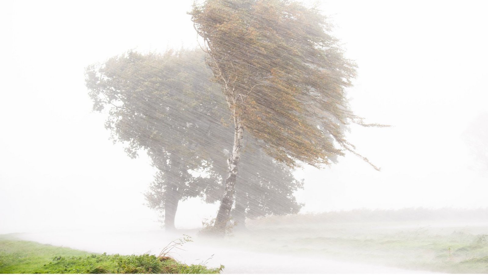 So sieht’s aus, wenn es Herbst ist: Sturmböen fegen übers Land.Foto: dpa/Julian Stratenschulte So sieht’s aus, wenn es Herbst ist: Sturmböen fegen übers Land.Foto: dpa/Julian Stratenschulte