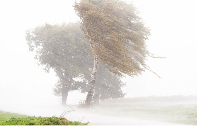 So sieht’s aus, wenn es Herbst ist: Sturmböen fegen übers Land.<span class='image-autor'>Foto: dpa/Julian Stratenschulte</span>