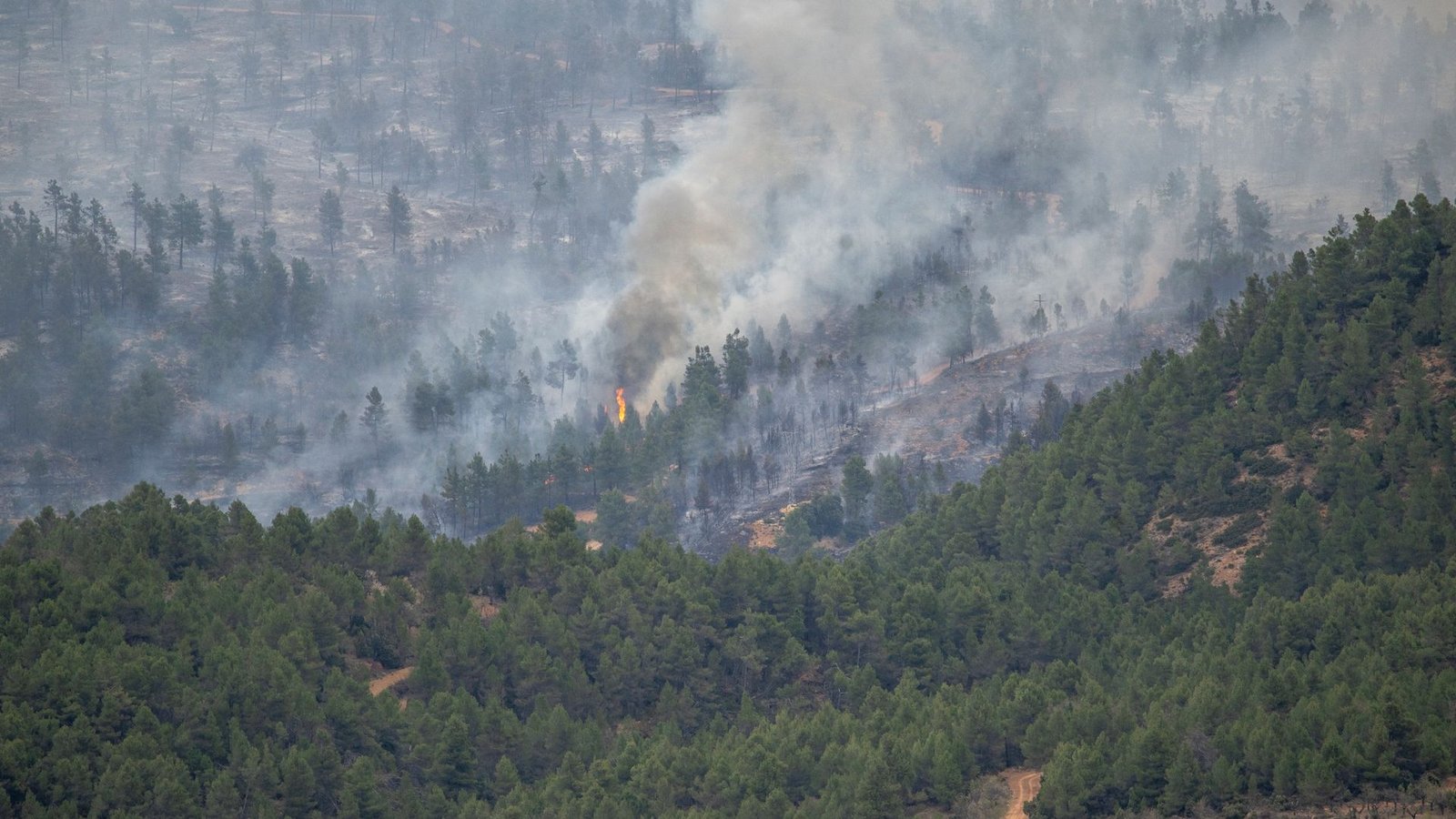 In San Agustín brennt der Wald.Foto: Lorena Sopêna/EUROPA PRESS/dpa