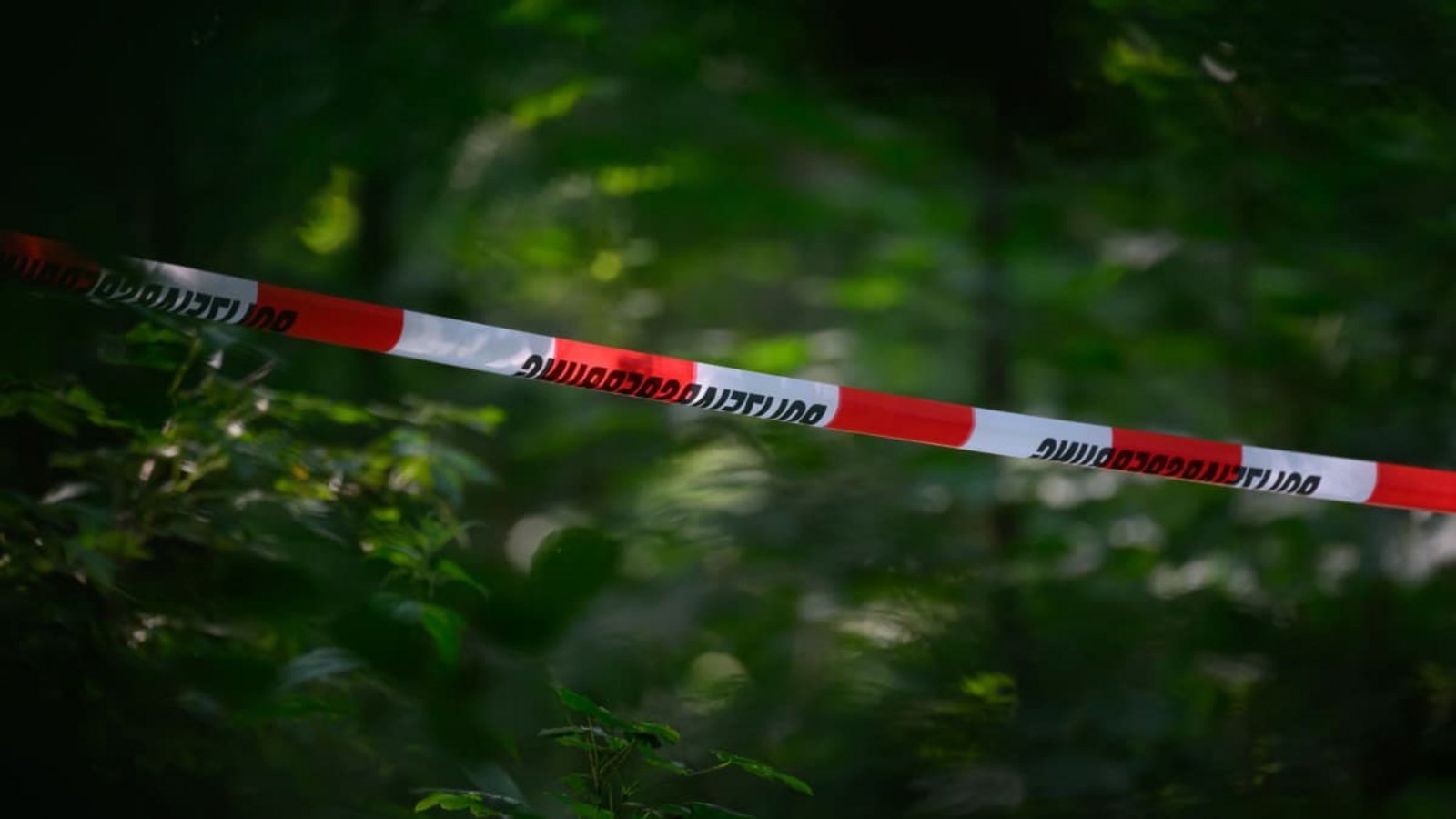 Absperrband der Polizei ist in einem Wald gespannt. (Symbolbild)Robert Michael/dpa Absperrband der Polizei ist in einem Wald gespannt. (Symbolbild)Robert Michael/dpa