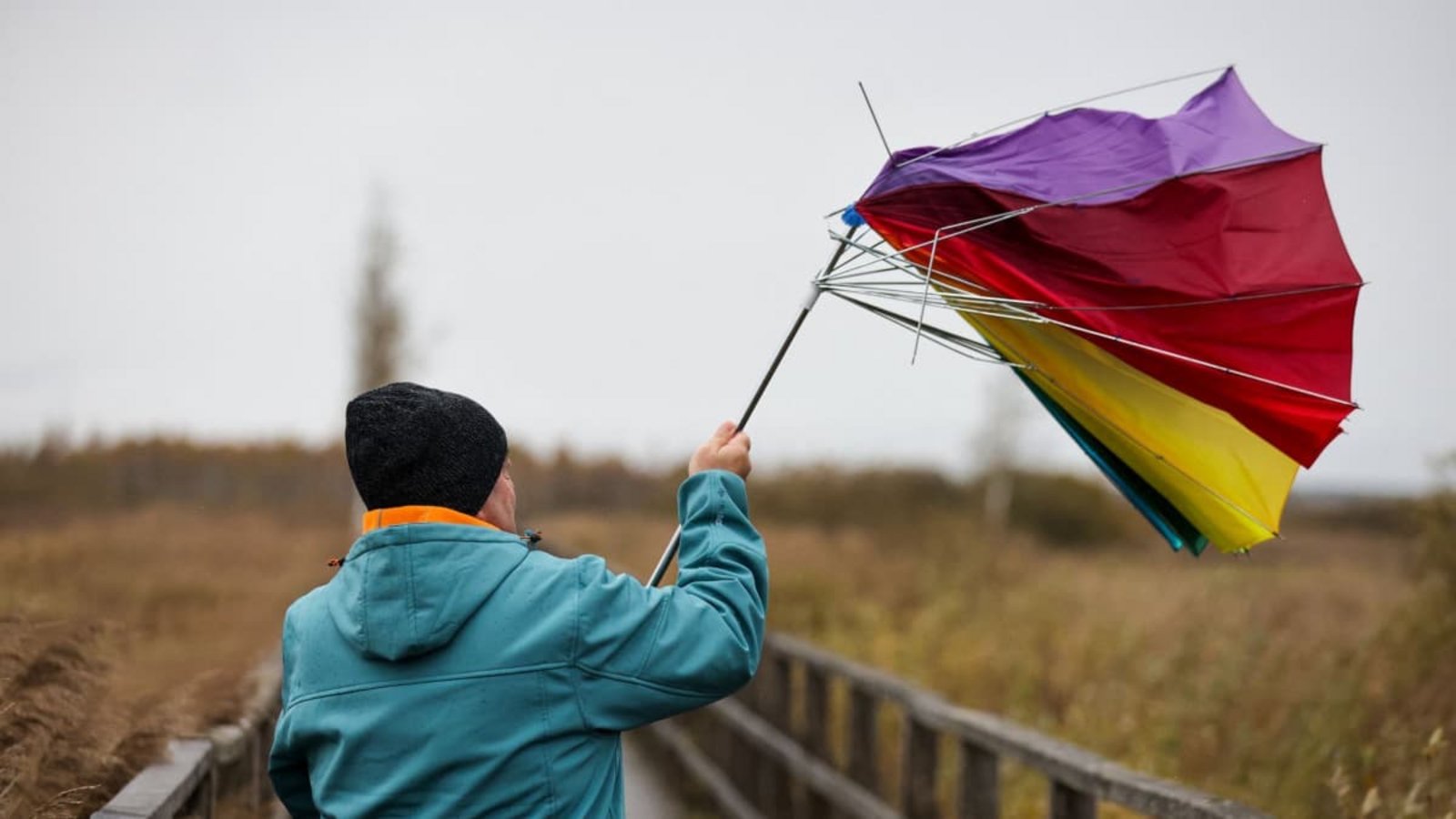 In der kommenden Woche soll das Wetter laut Experten freundlicher werden. (Archivbild)Thomas Warnack/dpa