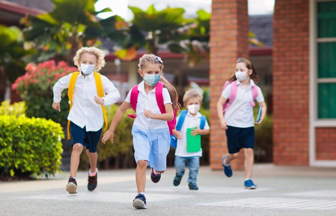Foto: FamVeld / shutterstock.com