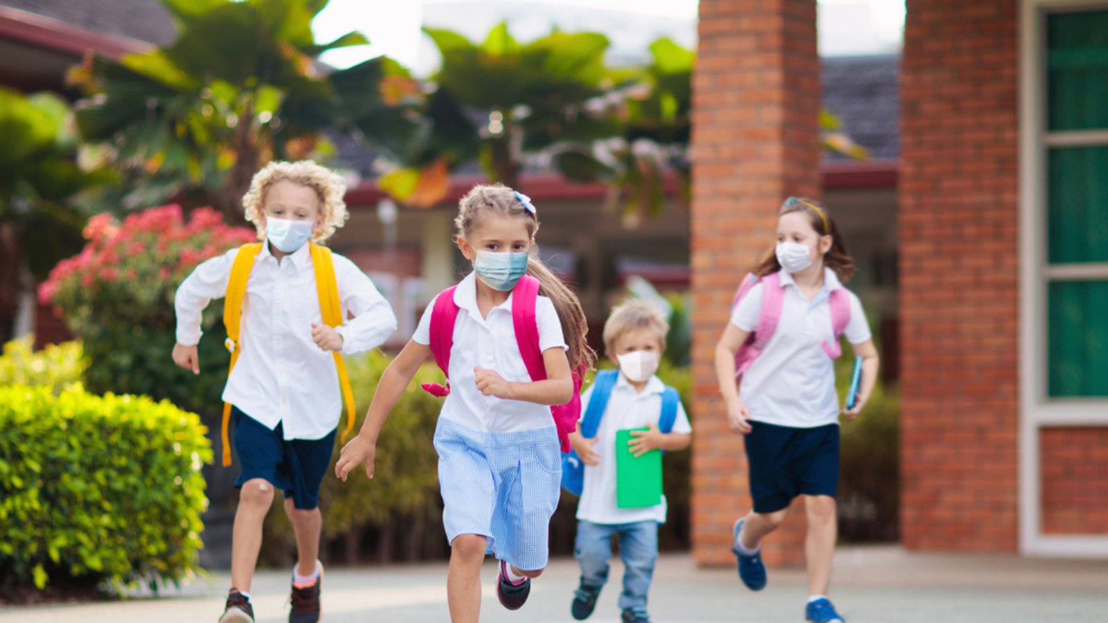 Foto: FamVeld / shutterstock.com