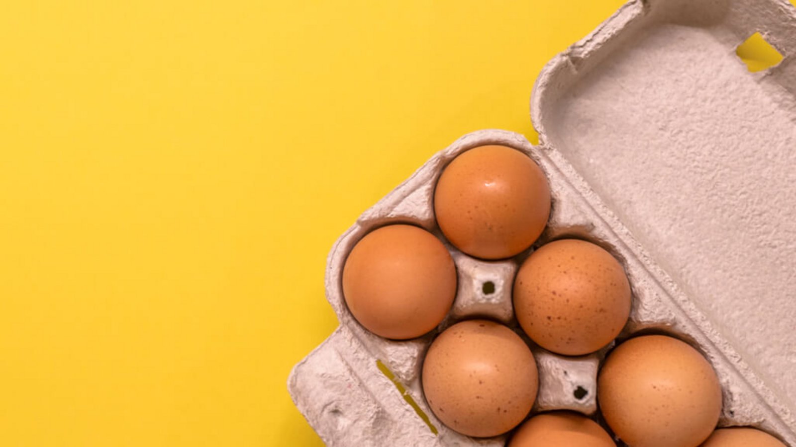 Erfahren Sie, wie lange rohe und gekochte Eier haltbar sind und wie diese lange frisch & haltbar bleiben.Foto: Dragana Gordic / Shutterstock.com Erfahren Sie, wie lange rohe und gekochte Eier haltbar sind und wie diese lange frisch & haltbar bleiben.Foto: Dragana Gordic / Shutterstock.com