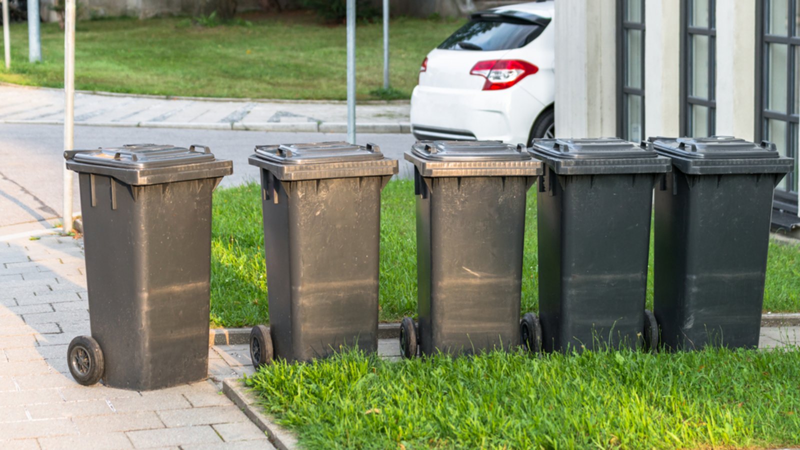 Ab 2025 darf Kleidung nicht mehr in die Restmülltonne.Foto: StGrafix / shutterstock.com Ab 2025 darf Kleidung nicht mehr in die Restmülltonne.Foto: StGrafix / shutterstock.com